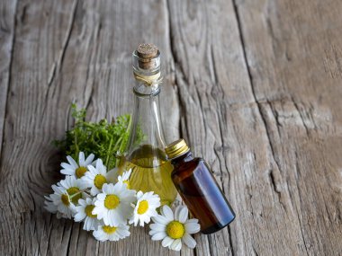 Essential oil in glass bottles with fresh chamomile flowers, beauty treatment.