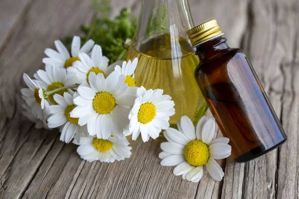 Essential Oil Glass Bottles Fresh Chamomile Flowers Beauty Treatment — Stok Foto