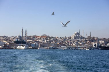 view of the bosphorus strait of the city instanbul, turkey