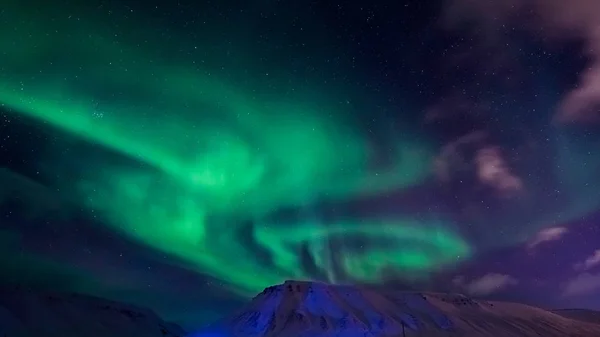 Les aurores polaires nordiques en Norvège — Photo