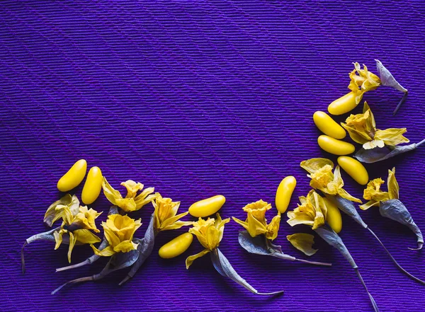 yellow daffodils with yellow candy beans dragee on purple background with empty space