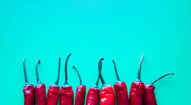 biber izole mavi zemin üzerine