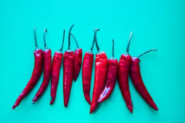 biber izole mavi zemin üzerine