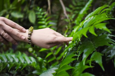 Yakın çekim yeşil tropikal bir arka plan üzerinde genç bir kızın bir el bir bilezik doğal taşlarla bırakır.