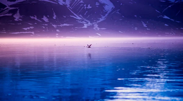 在早上的粉红色黎明斯瓦尔巴群岛山区景观鸟猎人在水的峡湾挪威斯匹次卑尔根，朗伊尔城，斯瓦尔巴群岛的反映 — 图库照片