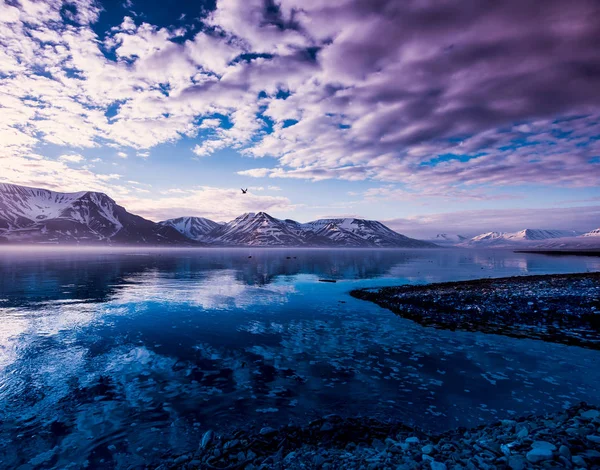 山水的北冰洋和反射与蓝蓝的天空和山冬雪，挪威斯匹次卑尔根，朗伊尔城，斯瓦尔巴德群岛 — 图库照片