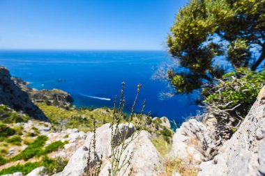 Güzel bir mavi gökyüzü ve taşlı kayalar yakınındaki masmavi deniz güneşli bir günde Mallorca İspanya'nın peyzaj seyahat