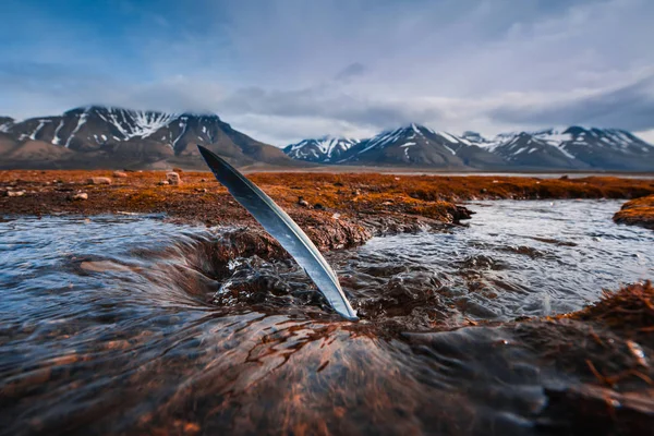 Paisagem do Oceano Ártico e reflexão com céu azul e montanhas com neve em um dia ensolarado, Noruega, Spitsbergen, Longyearbyen, Svalbard, verão , — Fotografia de Stock