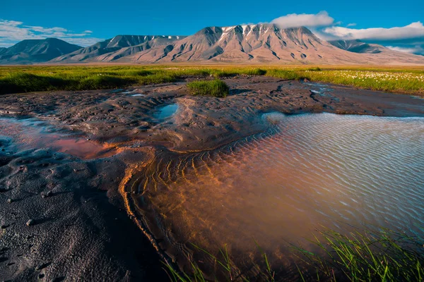 Paisaje de una hierba natural de un cielo atardecer con nubes en las montañas de Spitsbergen Svalbard cerca de la ciudad noruega Longyearbyen — Foto de Stock