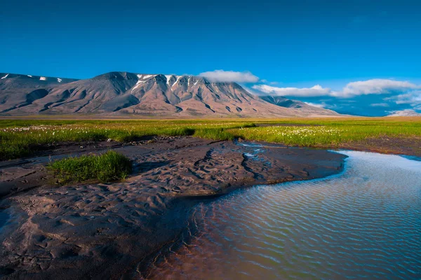 노르웨이 도시 롱위에아르뷔엔 근처 Spitsbergen 스발바르의 산에 구름과 일몰 하늘 자연 잔디의 풍경 — 스톡 사진