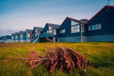 Norveç manzara doğa Spitsbergen Longyearbyen Svalbard bina şehir dağ polar bir gün günbatımında Arktik yaz ile duvar kağıdı 