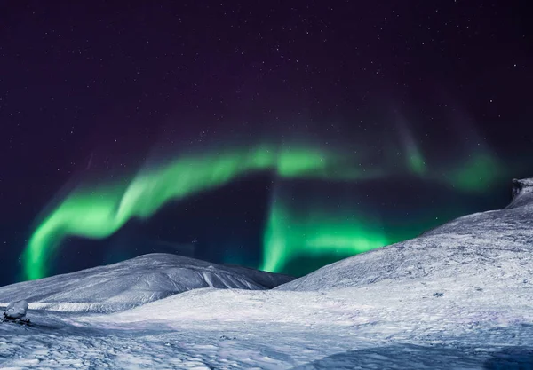 Ártico Polar Luzes Norte Aurora Boreal Céu Estrela Noruega Svalbard — Fotografia de Stock