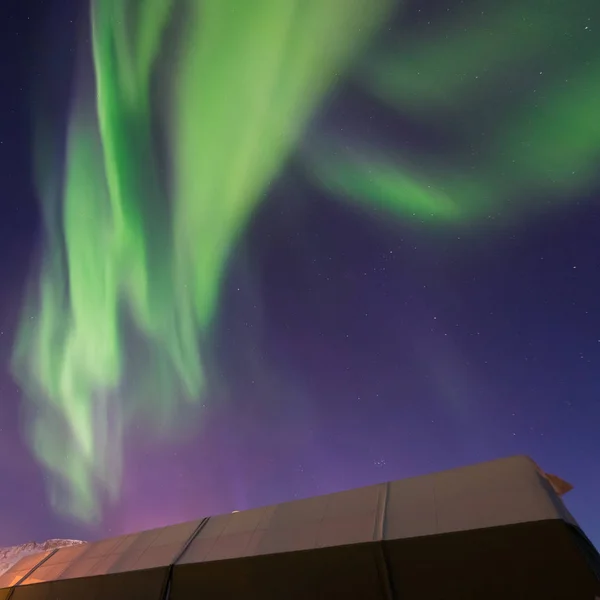 Ártico Polar Luzes Norte Aurora Boreal Céu Estrela Noruega Svalbard — Fotografia de Stock