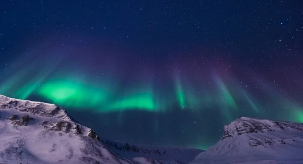 Polarny Arktyczny Zorza Polarna Zorza Polarna Niebo Gwiazda Svalbard Norwegia — Zdjęcie stockowe