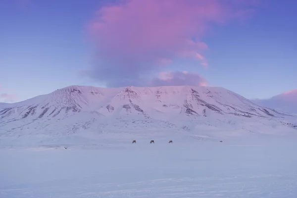 スバールバル諸島スピッツ ベルゲン ロングイェールビーン北極の冬の極地の日夕焼けの山のノルウェーの風景自然 — ストック写真