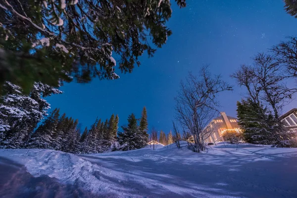 Polar Arctic Northern Part Scandinavia Sky Star Sweden Winter Forest — Stock Photo, Image