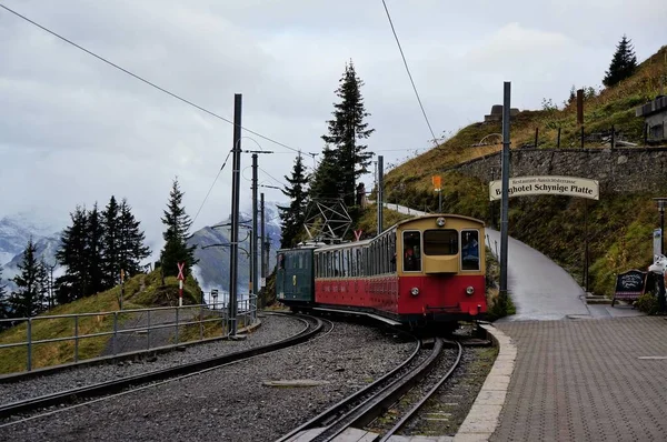 Retro tren Wilderswil Schynige platte sis ve arka plan olarak Alp ormanın çarpıcı görünümü ile seyahat