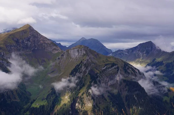 Alp orman, dağ ve Schynige Platte siste çarpıcı görünümü
