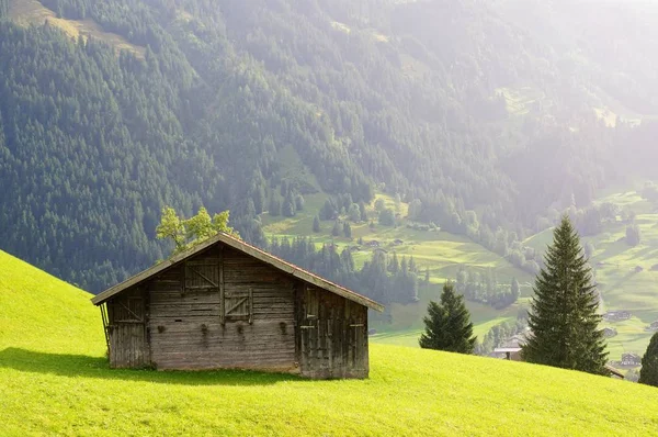 Küçük ev ve yeşil alan olarak arka planda yağmurlu bir günde Dağı. Grindelwald