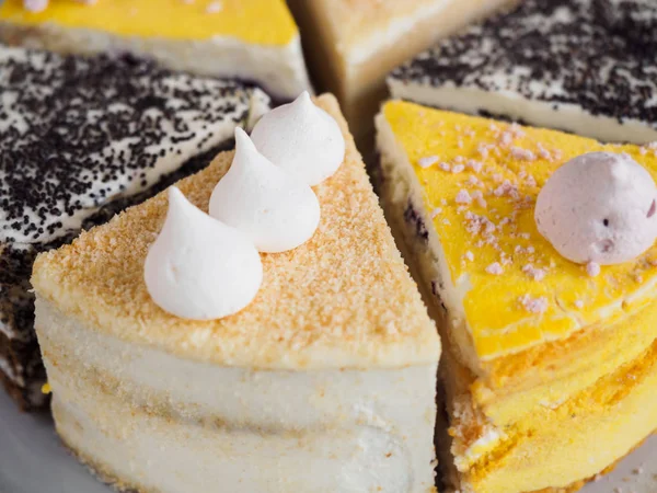 Vários pedaços de bolos coloridos: bolo de semente de papoula, limão e cremoso com merengue, vista lateral — Fotografia de Stock