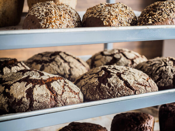 Variety of freshly baked breads: rye, wholewheat and white bread. beautiful rye bread close up in a bakery