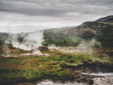 İzlanda'da Geysir vadisi