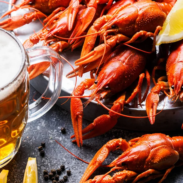 kerevit ve bira kapat