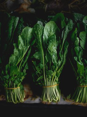 Ermenistan 'daki Erivan Pazarı' nda güzel yeşil kuş sürüsü.