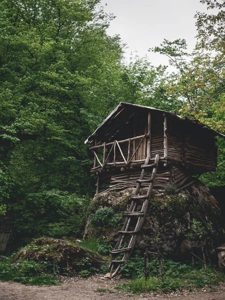 Domek Drzewie Lastiver Anapat Armenia Turystyka Kaukazie — Zdjęcie stockowe