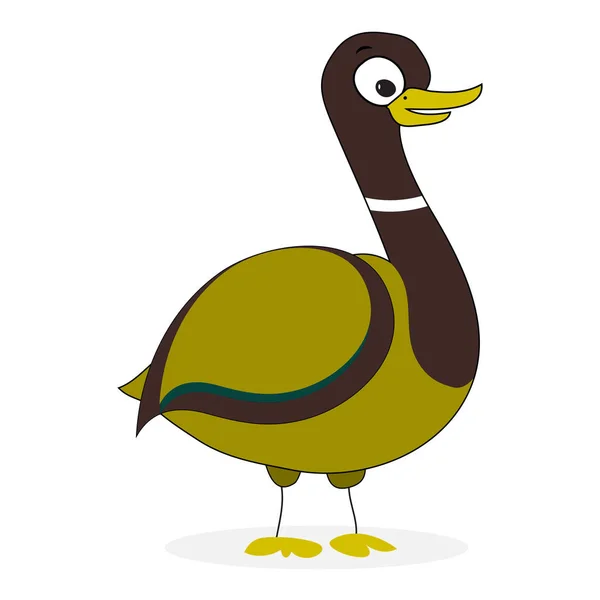 Wild duck cartoon — Stock Vector