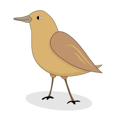 Karikatür bülbül kuş vektör