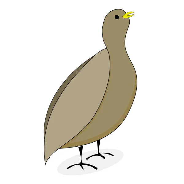 Quail bird character vector — Stock Vector