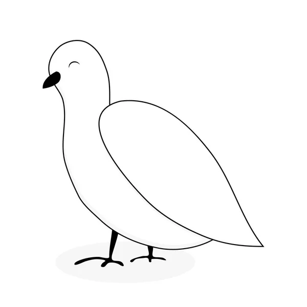 백색 비둘기 동물 벡터 — 스톡 벡터