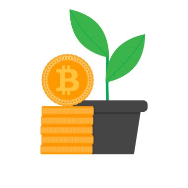 Büyüme bitcoin düz