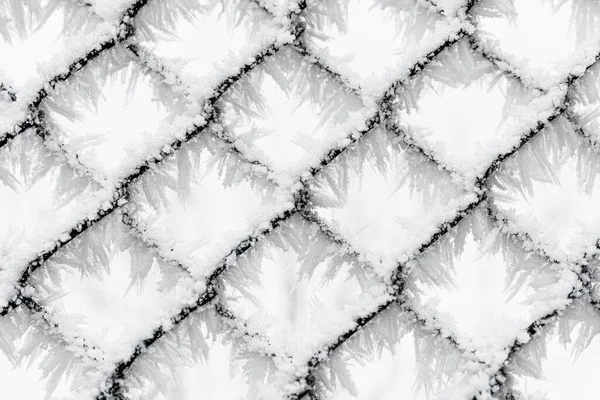 Frozen Chain Link Fence Frozen Time — Stock Photo, Image