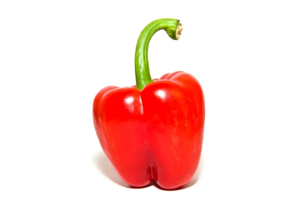 Die Frucht von rotem Paprika auf weißem — Stockfoto
