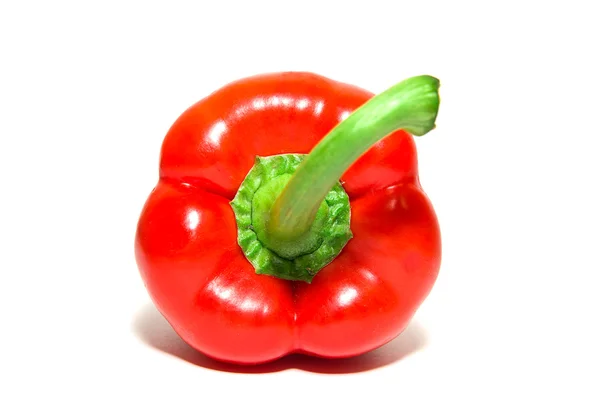 The fruit of red paprika pepper on white — Stock Photo, Image