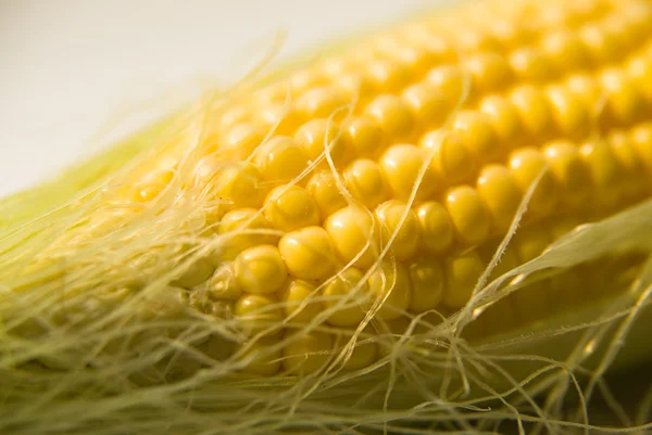 Biji-bijian dari tutup jagung . — Stok Foto