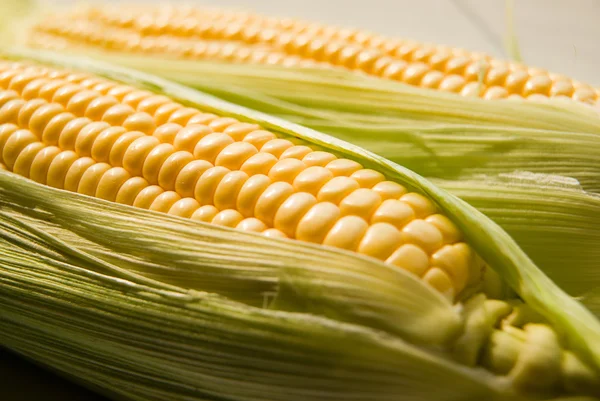 A magok gyümölcse a kukorica Vértes. — Stock Fotó