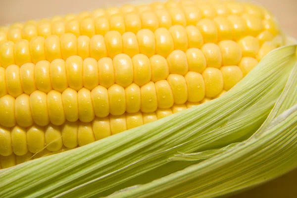 De vrucht van de zaden van de maïs-closeup. — Stockfoto