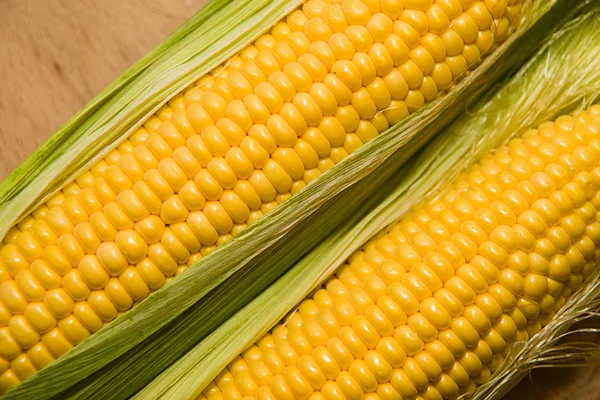 The seeds  fruit of the corn closeup. — Stock Photo, Image