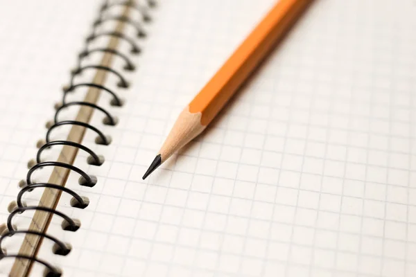 Kayıtlar için açık bir defter sayfalarında kalem