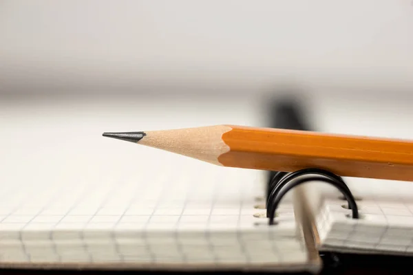 Bleistift auf den Seiten eines offenen Notizbuchs für Schallplatten — Stockfoto