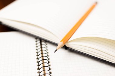 Kayıtlar için açık bir defter sayfalarında kalem