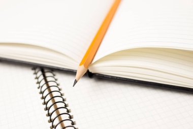 Kayıtlar için açık bir defter sayfalarında kalem