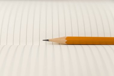 Kayıtlar için açık bir defter sayfalarında kalem