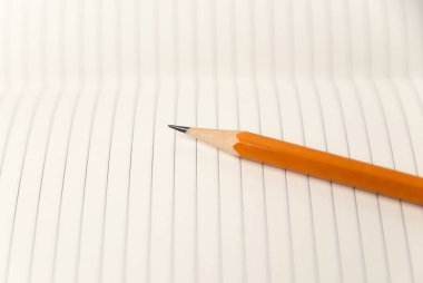 Kayıtlar için açık bir defter sayfalarında kalem