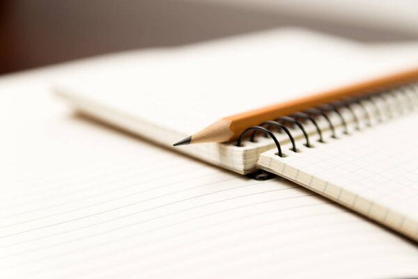 Pencil on the pages of an open notebook for records