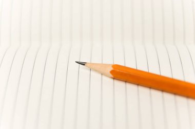 Kayıtlar için açık bir defter sayfalarında kalem