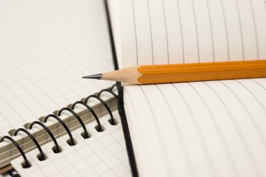 Kayıtlar için açık bir defter sayfalarında kalem